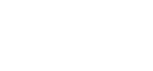 Asset 1